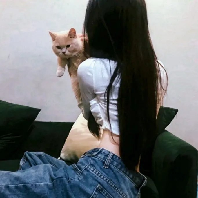 泡芙小姐第四季